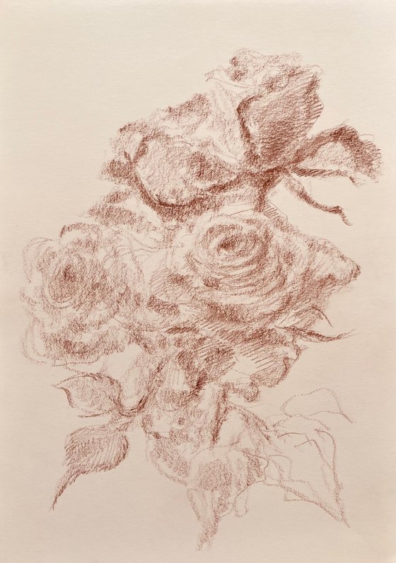 Roses #11. Original pencil drawing