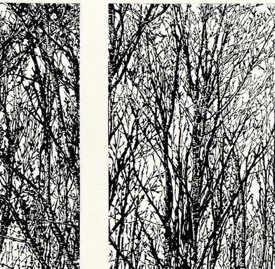 Quiet Spaces