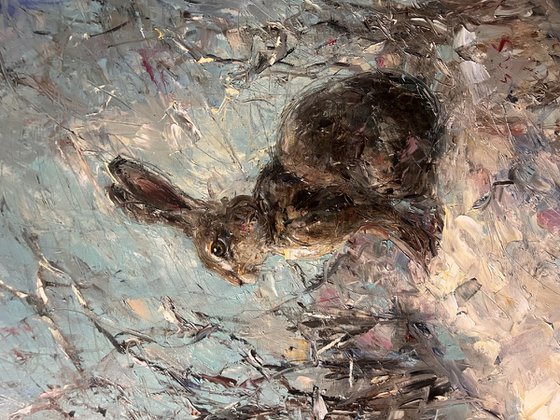 Hare in the snow