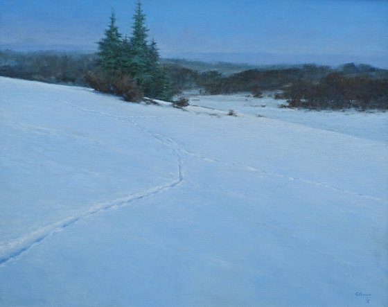 Snowlandscape