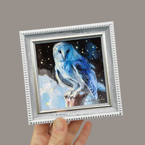 Owl bird