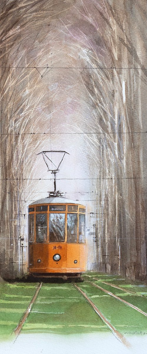 Vintage Tram Passing Through the Tree Tunnel by Masato Watanabe