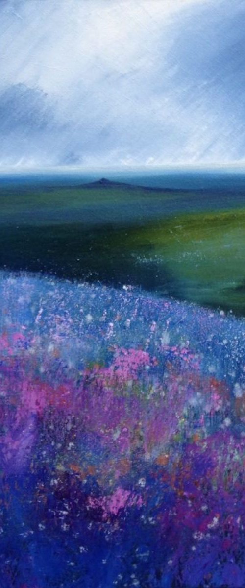 Dartmoor Hues by Laure Bury