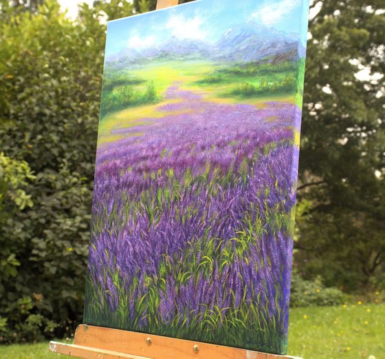 Provence lavender