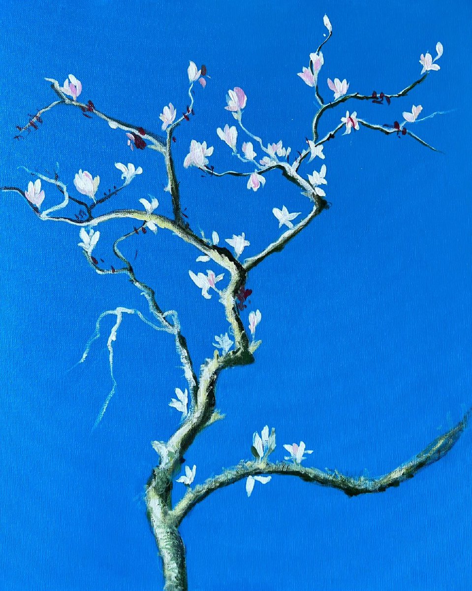  Magnolia In Spring 6 By Shabs Beigh, 16 X 20, Artwork For Sale On Artfinder