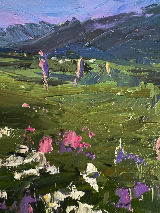 Flowering Mountain Fields