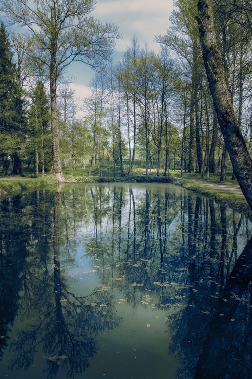 The silence of a spring pond by Vlad Durniev