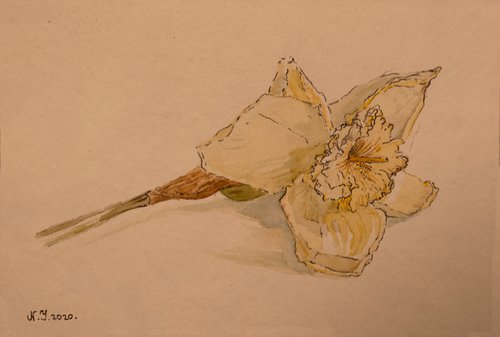 Flower Study V by Nikola Ivanovic