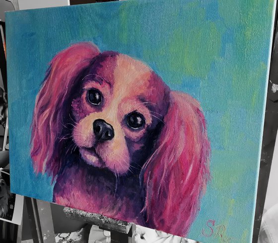 Cavalier King Charles Spaniel. 50x40 cm