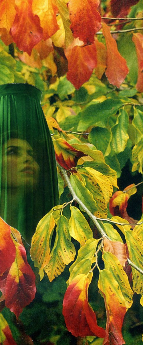 Autumn Rising by Linda Simon