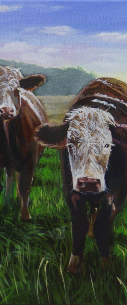 two cows by Gordon Bruce