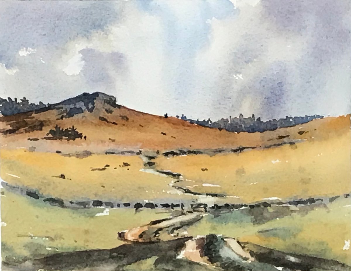 Moorland Tor by Vicki Washbourne