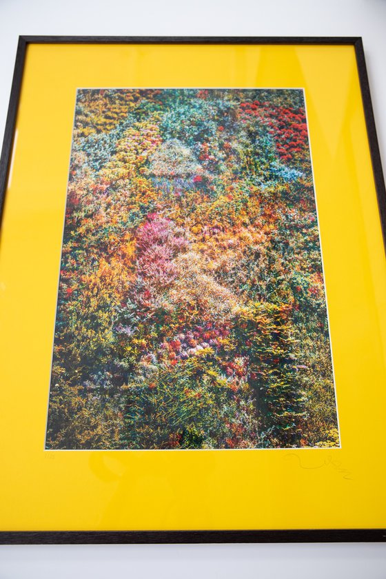 Wall of Nature I (Framed)