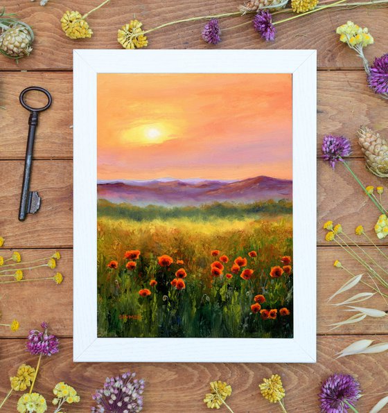 'Sunset poppies'