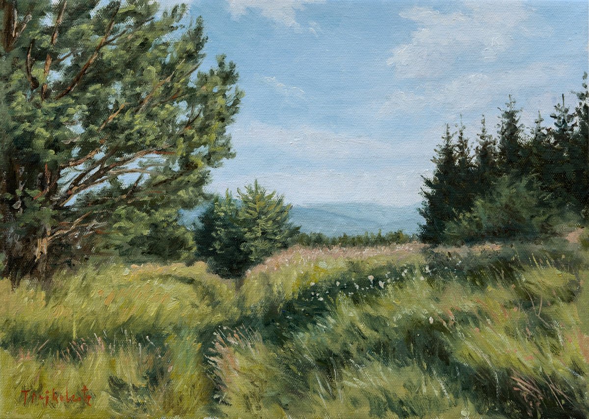 Impressionistic Landscape Oil Painting By Dejan Trajkovic, 14 X 10, Wormwood High, Original Artwork