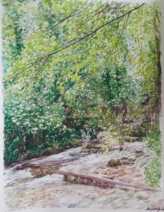 Watercolor forest and river painting