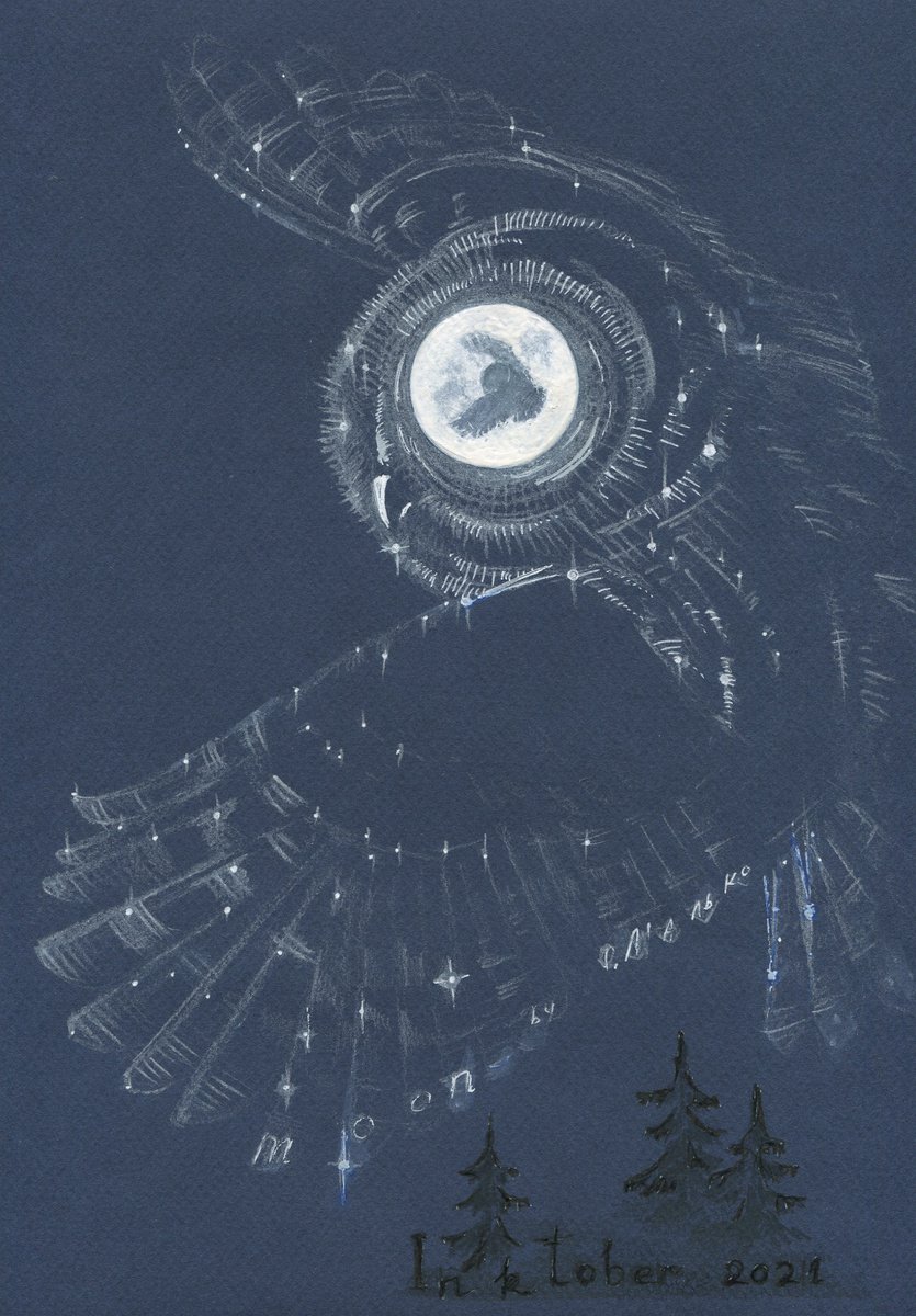Moon Owl / Night sky Starry bird Fool Moon Dark blue picture Original drawing by Olha Malko