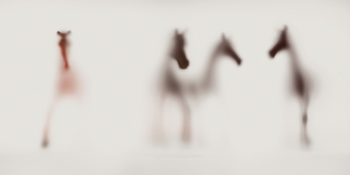 Abstract Animal Photograph By Sven Pfrommer, 55 X 28", Wild Lens - Horses I, Original Artwork