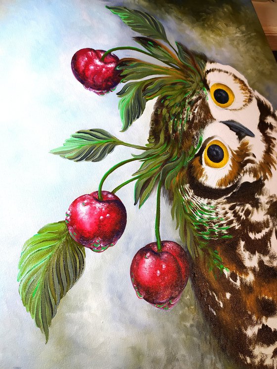 Cherry owl