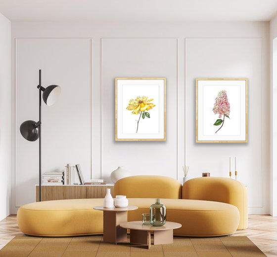 Greetings to the sun