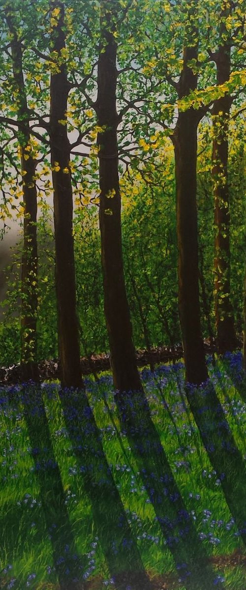 Shades Of spring by Hazel Thomson