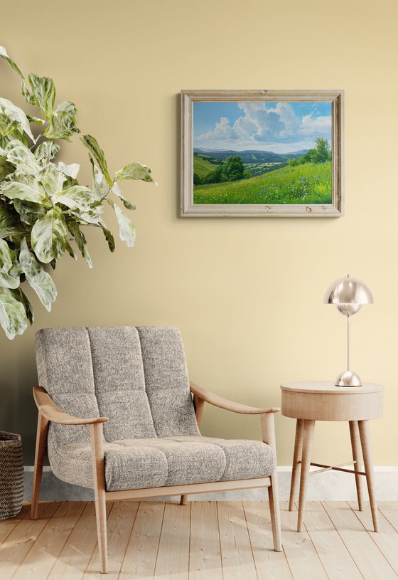 Meadows of early summer