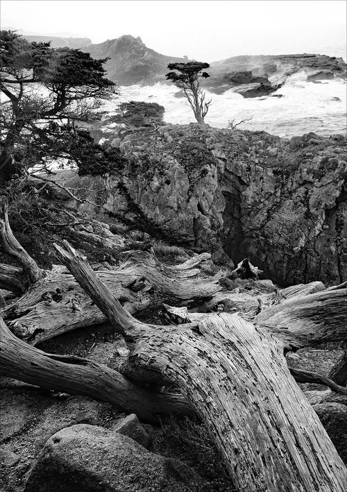 Pinnacle Cove  - Point Lobos by Stephen Hodgetts Photography