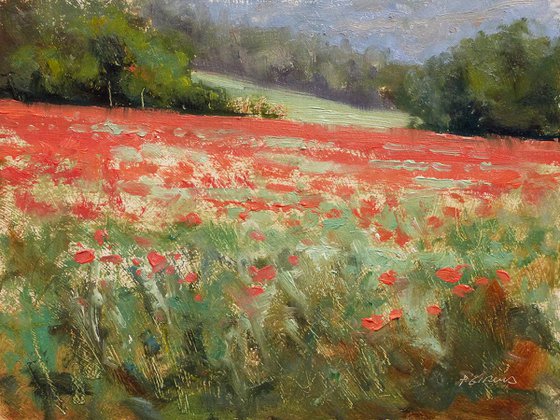 Poppies