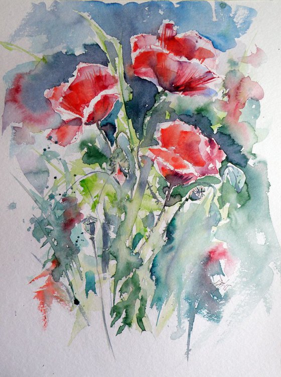 Poppies