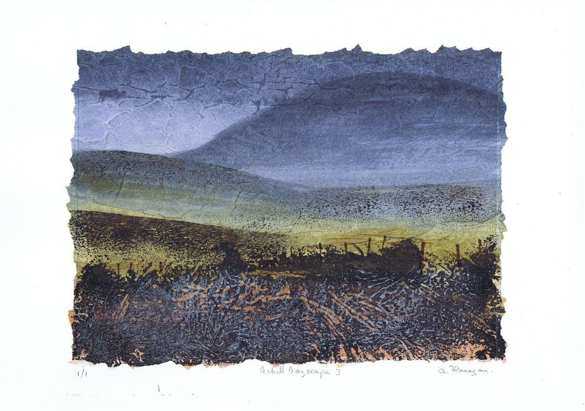 Achill Bogscape 1 by Aidan Flanagan Irish Landscapes