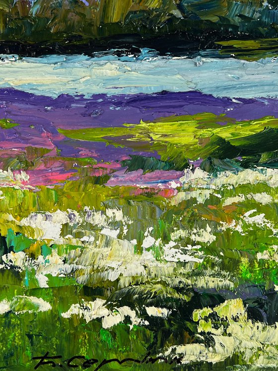 Meadows of Growing Flowers