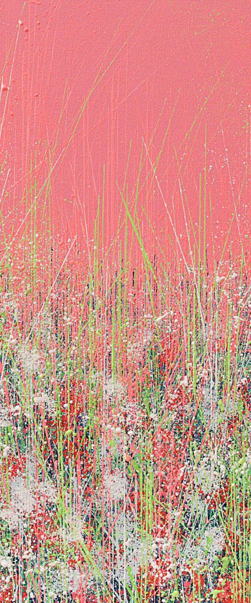 Vivid Spring Colours by Marc Todd