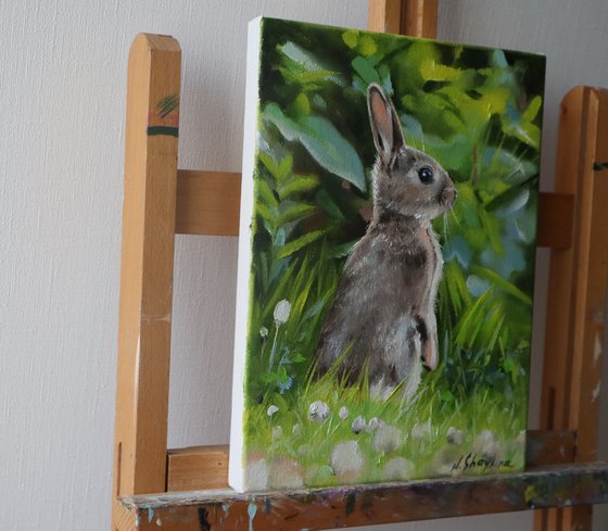 Little Bunny in Spring Grass