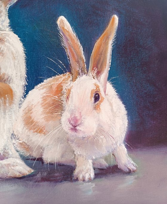 3 little Rabbits