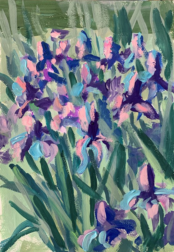 Irises.