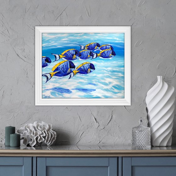 Blue Tang Fish School