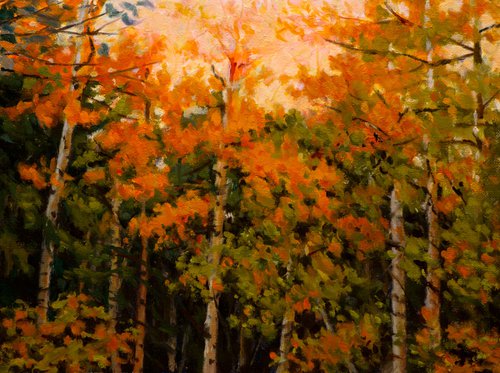 Autumn Aspens by Daniel Fishback
