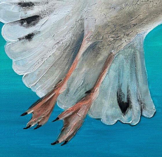 "Seagull"