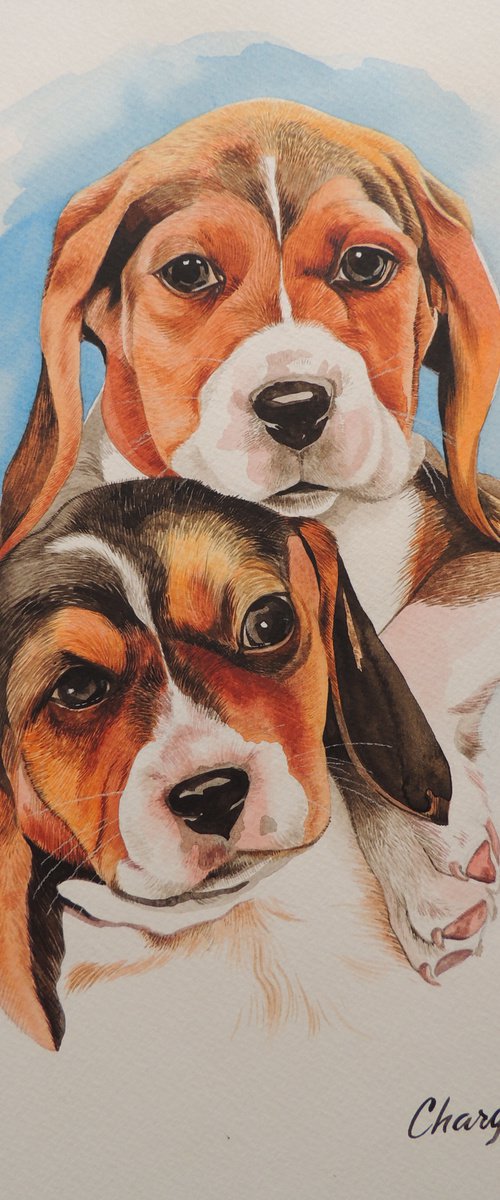 Puppies by Kakajan Charyyev