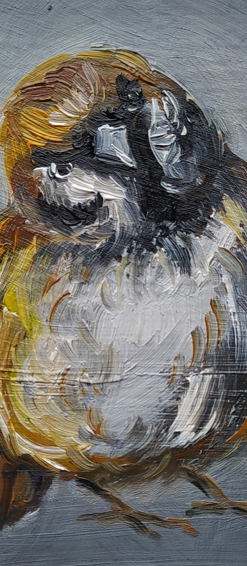 Sparrow - birds, oil painting, animal, bird sparrow, gift idea, small size, postcard size, postcards by Anastasia Kozorez