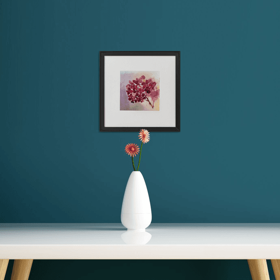 Hydrangea framed