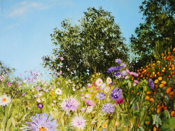 Magic Garden Morning