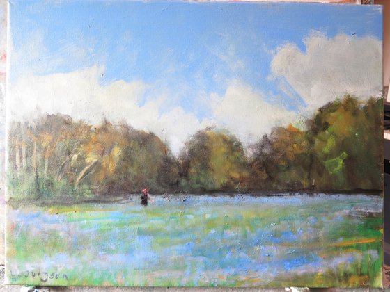 Bluebell Wood