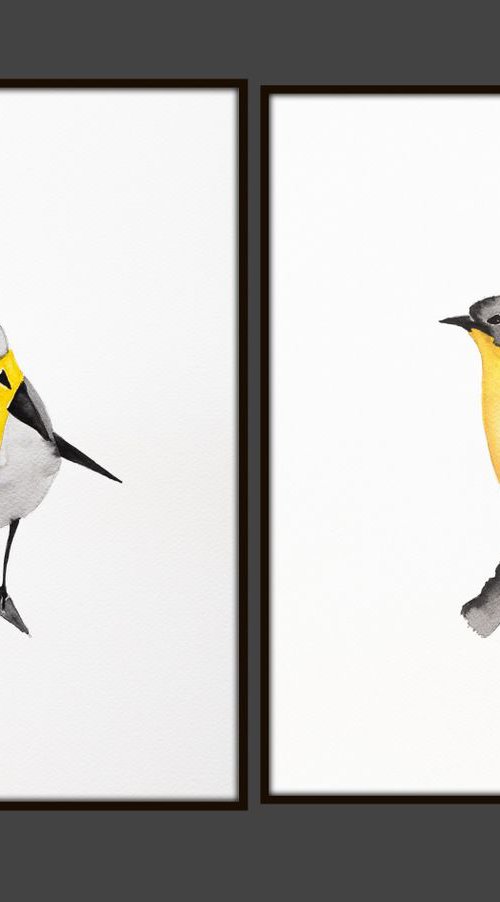 Birds by Nadia Moniatis