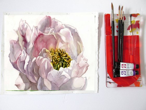 soft pink peony watercolor floral