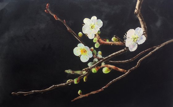 Cherry Blossoms -  cherry tree branch - plum blossoms - Meihua - Mother's Day gift