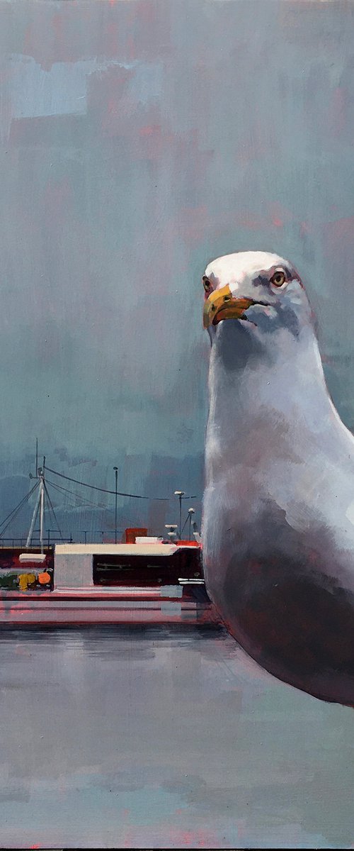 Gull by Andrew Morris