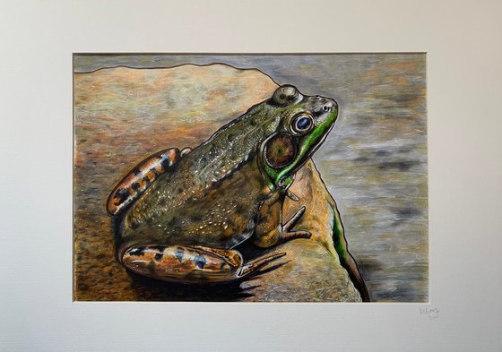 Basking frog