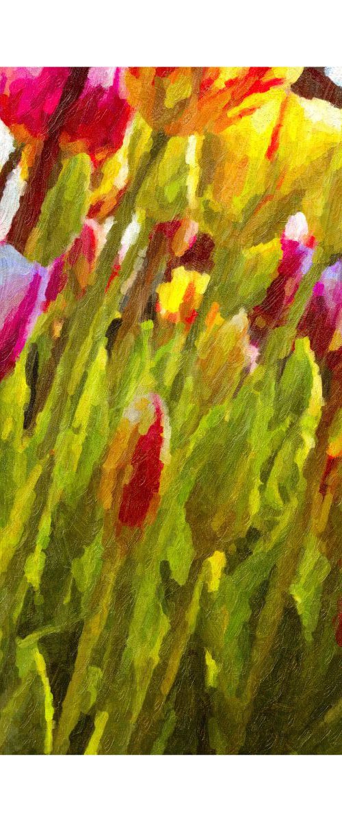 Painted Tulips by Martin  Fry