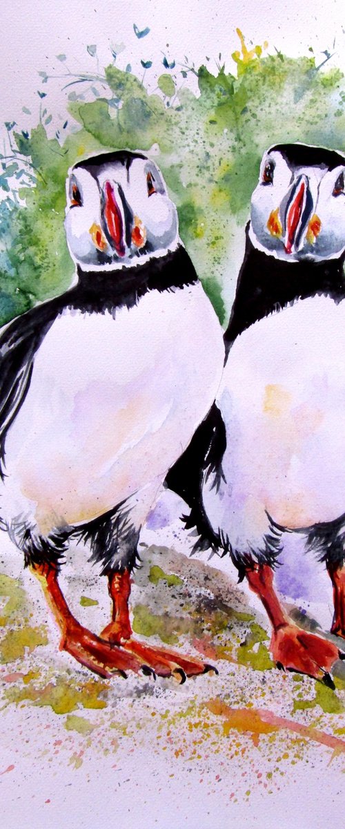 Puffins by Kovács Anna Brigitta